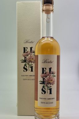 Elisi